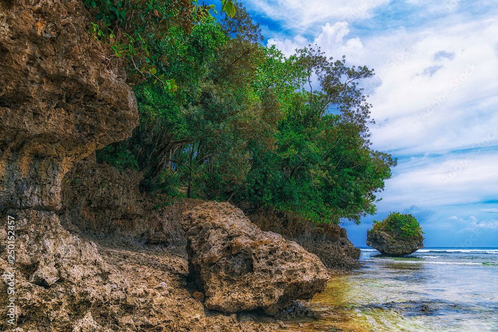 Beautiful island. View of nice tropical beach with palms and stones around. Holiday and vacation concept. Tropical and wild beach at Philippines on the coast island Siargao