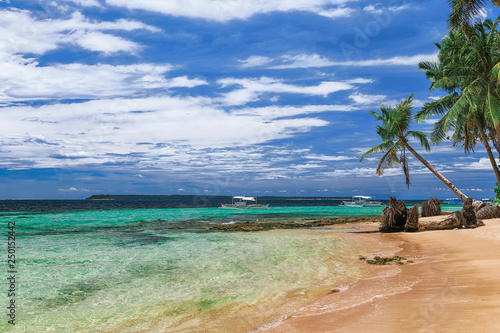 Obraz na płótnie Beautiful beach. View of nice tropical beach with palms around. Holiday and vacation concept. Tropical beachat Philippines on the coast island Siargao w salonie