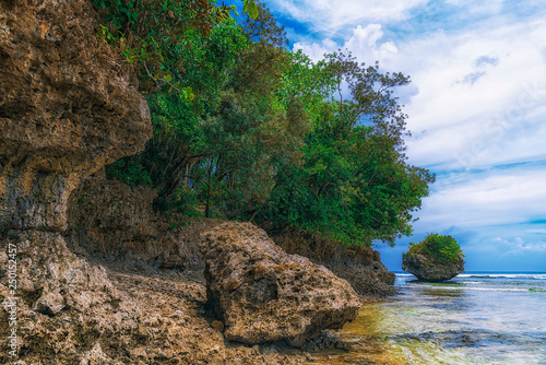 Obraz na płótnie Beautiful island. View of nice tropical beach with palms and stones around. Holiday and vacation concept. Tropical and wild beach at Philippines on the coast island Siargao w salonie