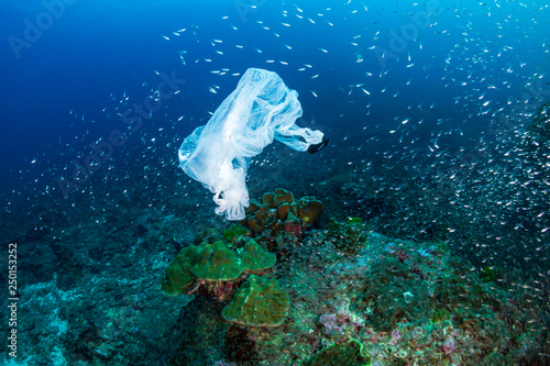 A discarded plastic bag floating past tropical fish and corals on a tropical reef (Koh Bon)