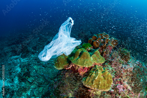 A discarded plastic bag floating past tropical fish and corals on a tropical reef (Koh Bon)