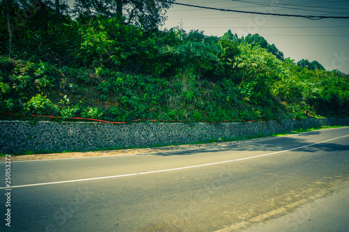 empty road with green bush and small tree on the side in puncak bogor photo