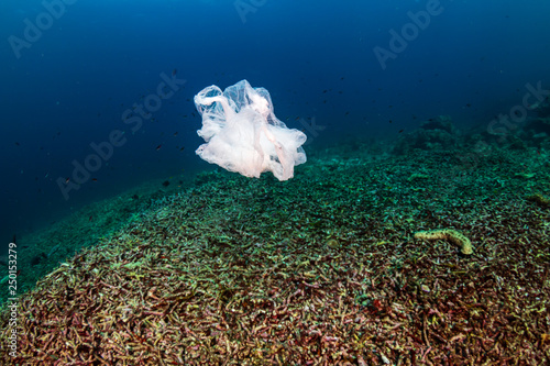 Plastic Pollution - a discarded plastic bags floats in the ocean above a dead tropical coral reef