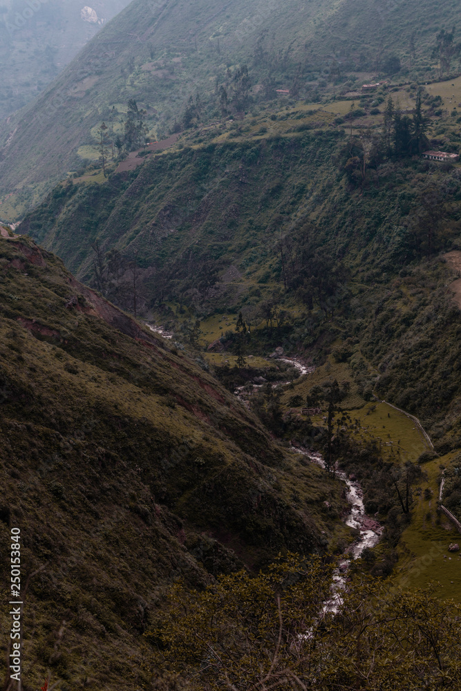 Naklejka premium Montañas - Paisaje - Green - Pasto - plantas