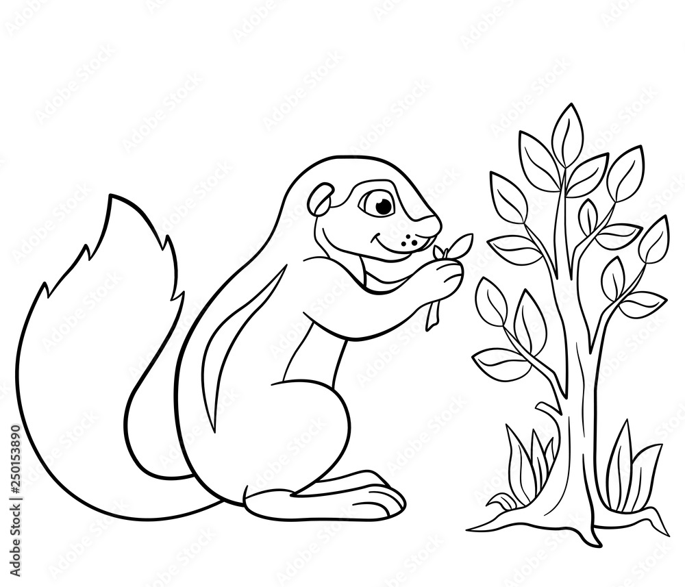 Obraz premium Coloring pages. Little cute xerus eats leaves.