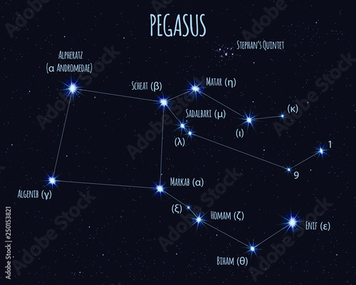Pegasus constellation, vector illustration with the names of basic stars against the starry sky 