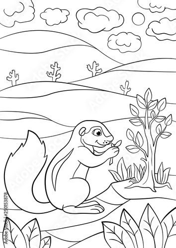 Coloring pages. Little cute xerus eats leaves.