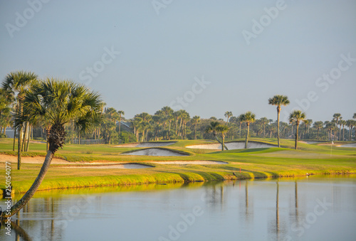 Palm trees on Lake Vedra. Ponte Vedra Beach, Florida