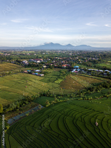 An aerial view of rural Bali with its mountain in the background, Indonesia