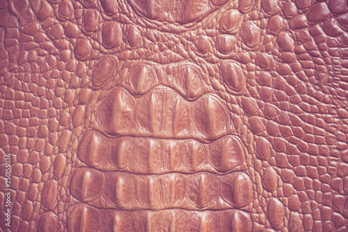 Genuine leather texture background,Grunge and old leather texture with dark edges.