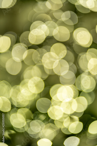 The out of focus lights of a christmas tree