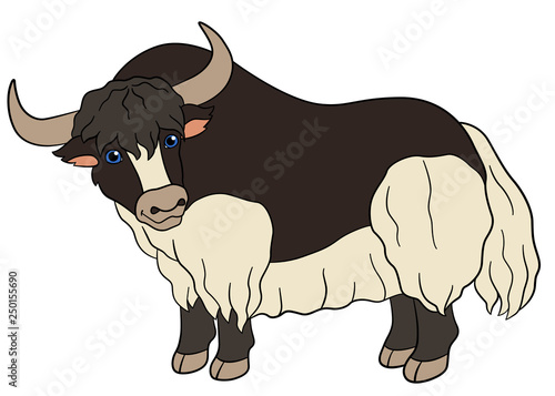 Cartoon animals. Cute beautiful yak smiles.