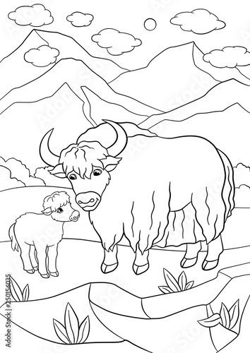 Coloring pages. Beautiful yak with little baby yak.