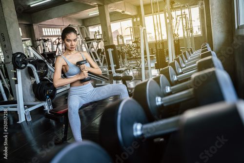 Youn sexy sport women exercise with dumbbell work out in the gym