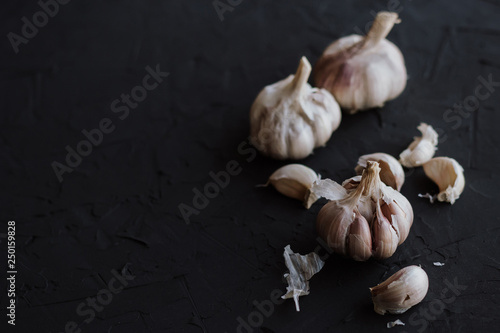 Wallpaper Mural Garlic on a black background Torontodigital.ca
