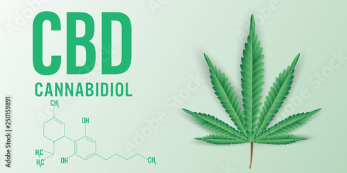 Chemical formula of cannabis CBD (Cannabidiol)