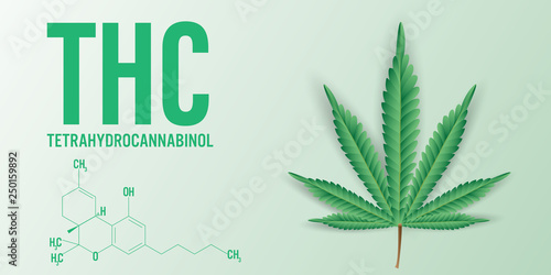 Chemical formula of cannabis THC (Tetrahydrocannabinol) background.Vector Illustration