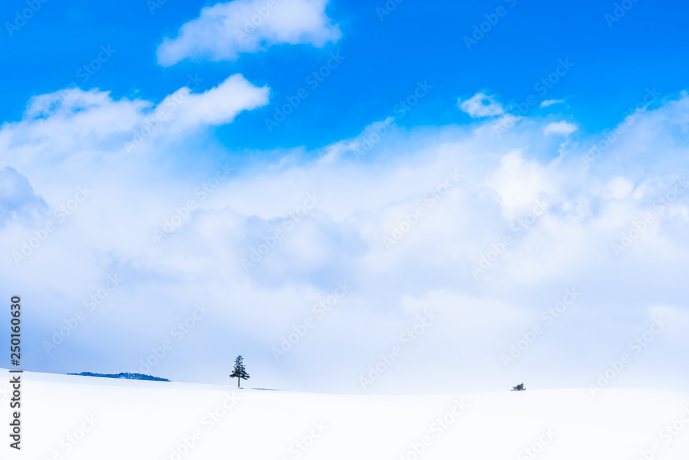 Beautiful outdoor nature landscape with christmas tree in winter snow season
