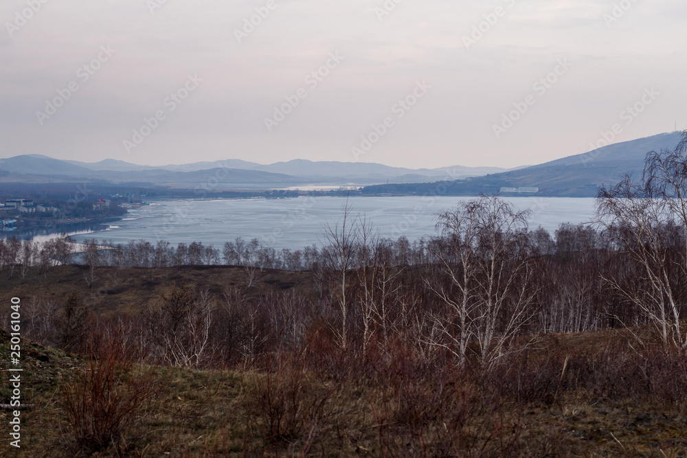 beginning of spring, landscape of bare trees,