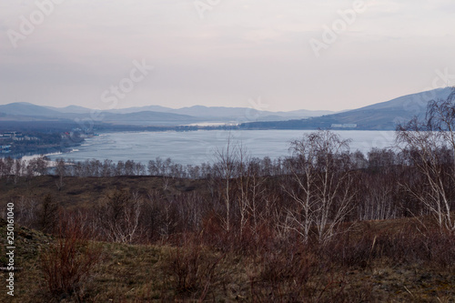 beginning of spring, landscape of bare trees,