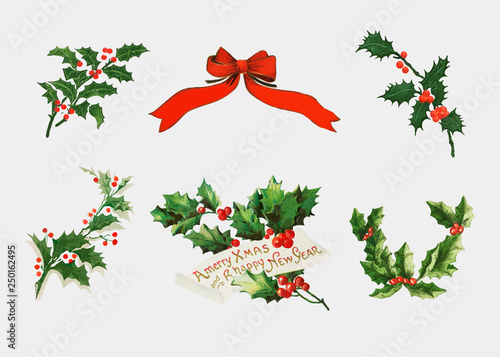 Vintage holly illustration set