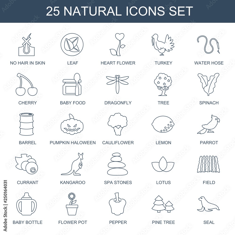 25 natural icons 25 natural icons