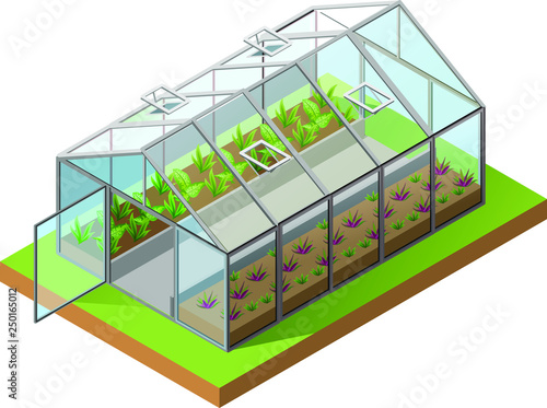 Greenhouse isometric 3d icon. Growing seedlings in glasshouse. Isolated on white vector illustration