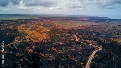 Photos Burnt landscape after bushfire aftermath