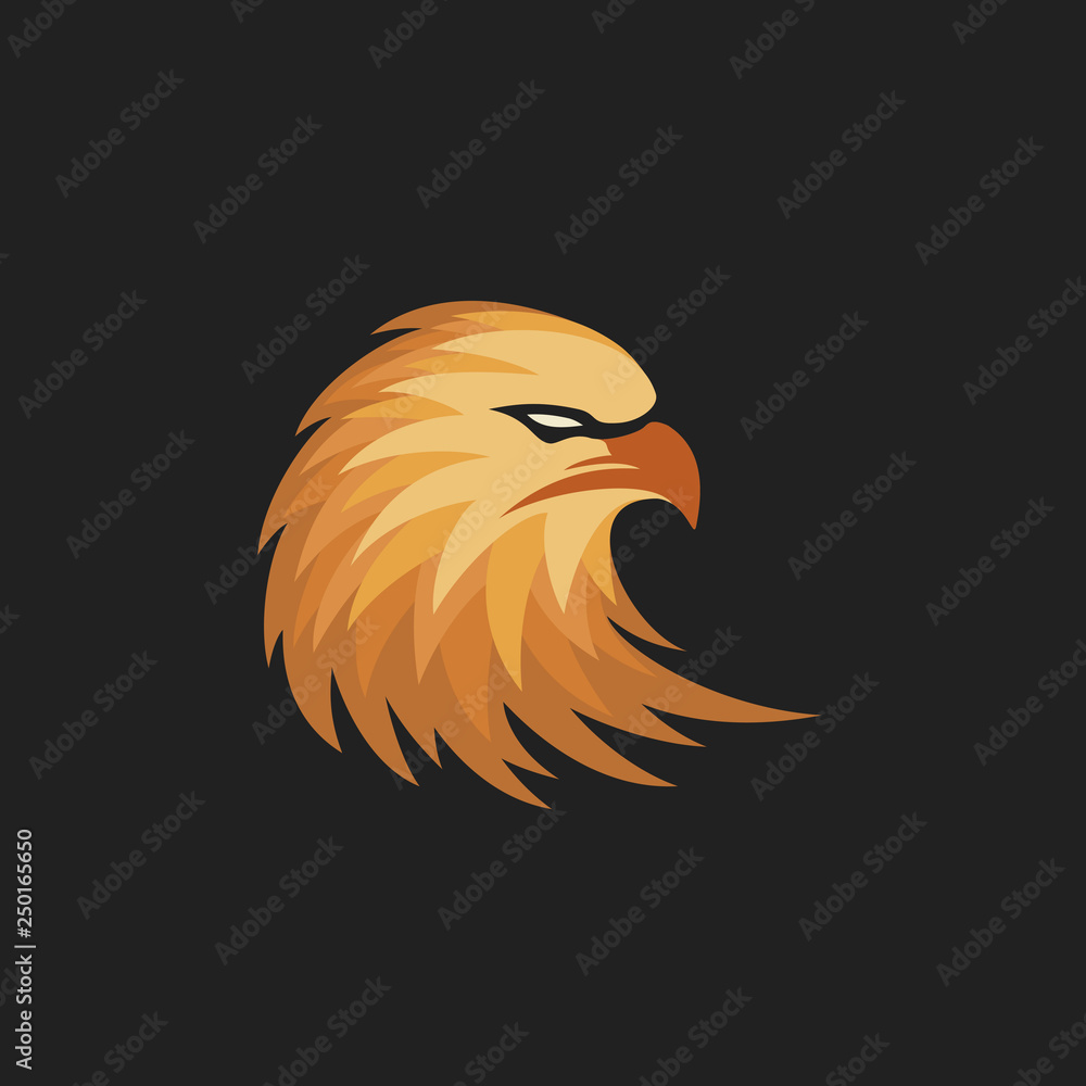 Fototapeta premium Eagle Head Logo Designs