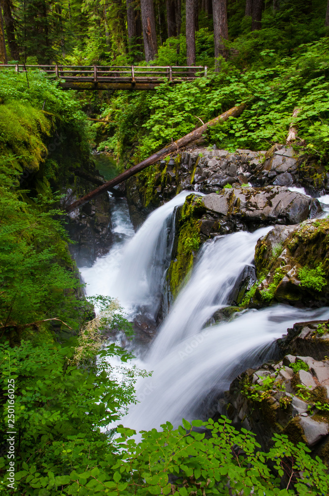 Naklejka premium Sol Duc Falls