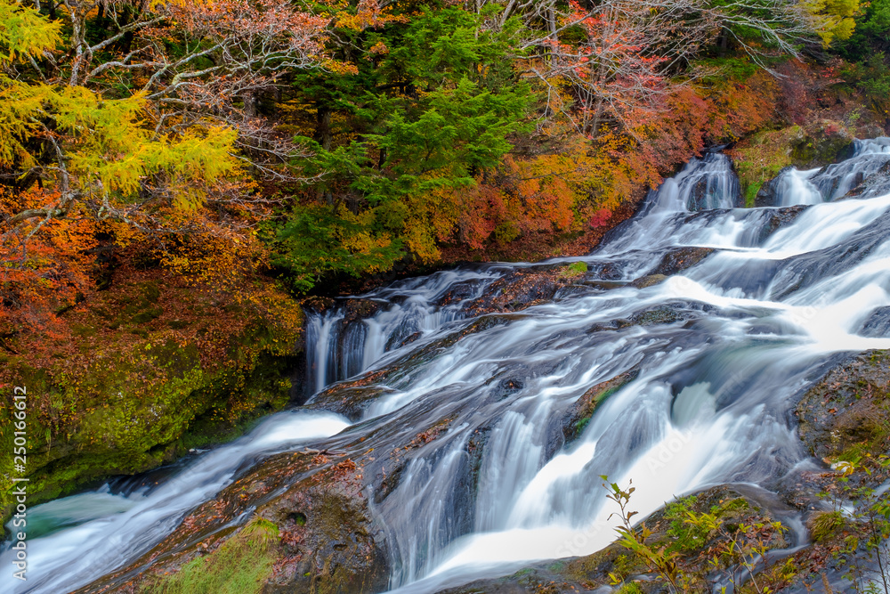 Ryuzu waterfall (Ryuzu no taki )or dragon head waterfall, water fall located on Yukawa River in Nikko national park, Japan, many trees which turn yellow and red during the autumn leaf season in Japan.