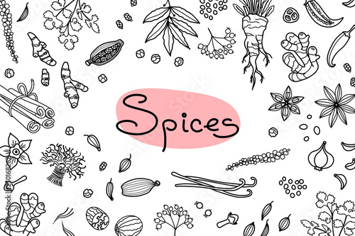 Background with various spices used in cooking and inscription for the design of menus, recipes and packaging products. Vector illustration