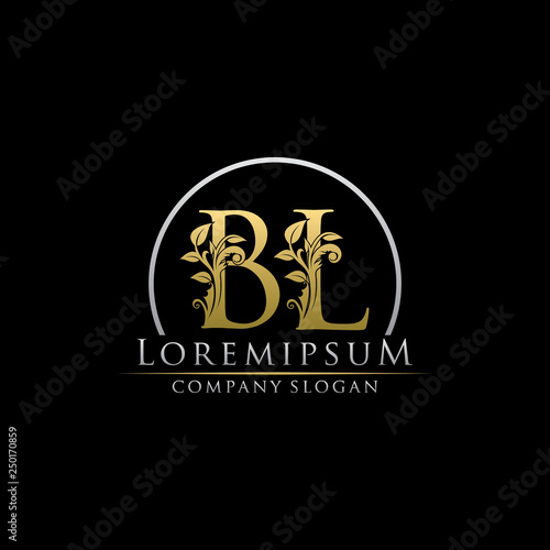 Luxury Gold BL Letter Logo photo