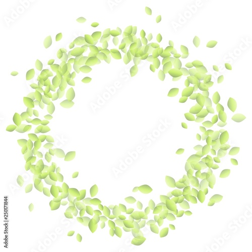 Green leaves in a shape of circle ornament. Eco vegan isolated vector image