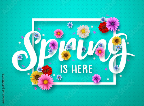 Spring vector banner design. Spring text with colorful chrysanthemum and daisy flowers in white frame for spring season. Vector illustration.