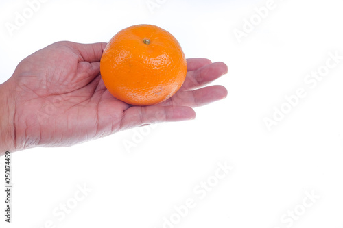 Hand holding a mandarin orange on white background