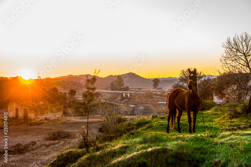 Rio Tinto landscape at sunrise