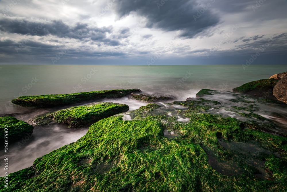Colorful sea shore with green algae