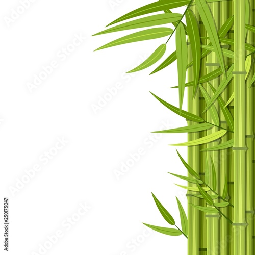 Vector green bamboo stems and leaves isolated on white background with copy space. Vector illustration in flat style