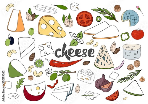 Hand drawn vector set with different types of cheeses, spices and nuts i