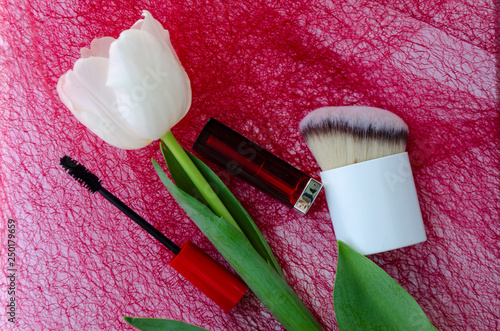 Set of decorative cosmetics for make-up