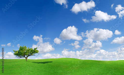 Idyllic landscape, lonely tree among green fields
