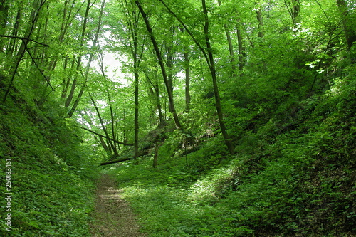 Kazimierski Park Krajobrazowy