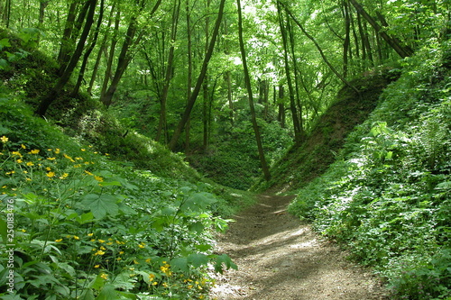 Kazimierski Park Krajobrazowy