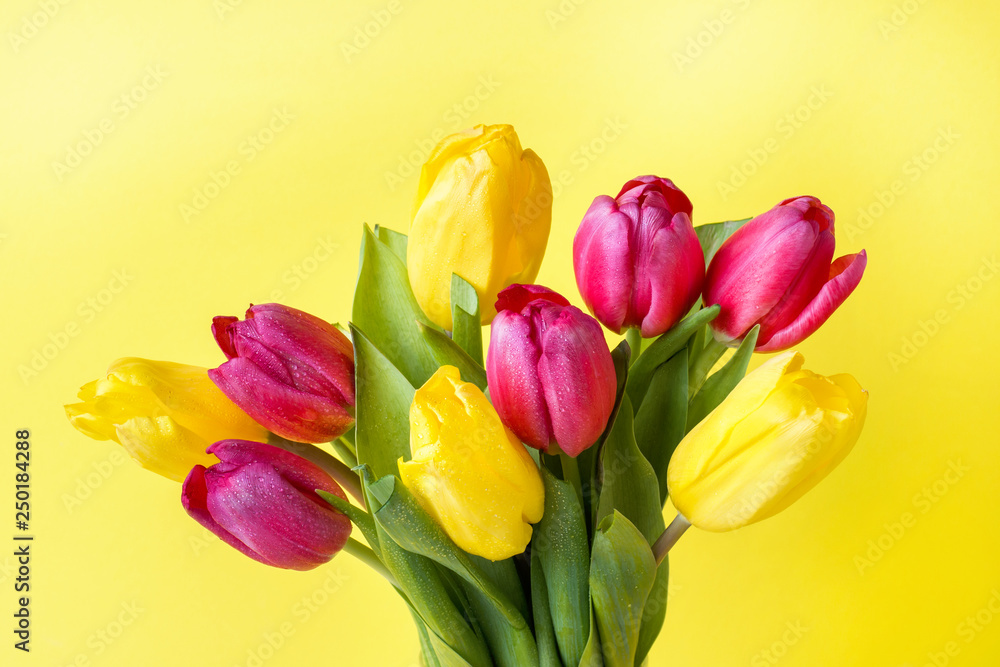 Bouquet of yellow and pink tulips on a yellow background. Bouquet of yellow and pink tulips on a yellow background.