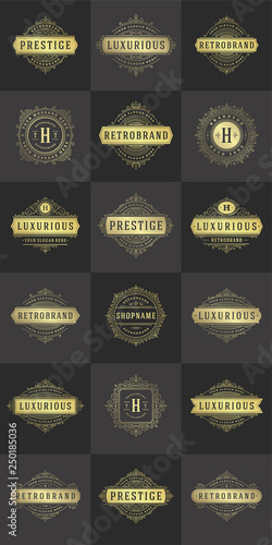Luxury logos templates set  flourishes calligraphic elegant ornament lines.