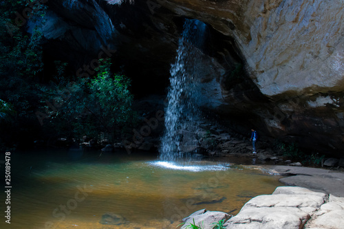 waterfall in the forest