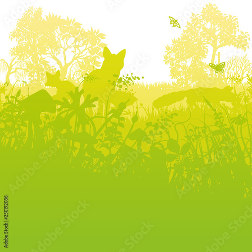 Drei Füchse auf der Wiese