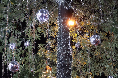 Tree decoration with light and ball