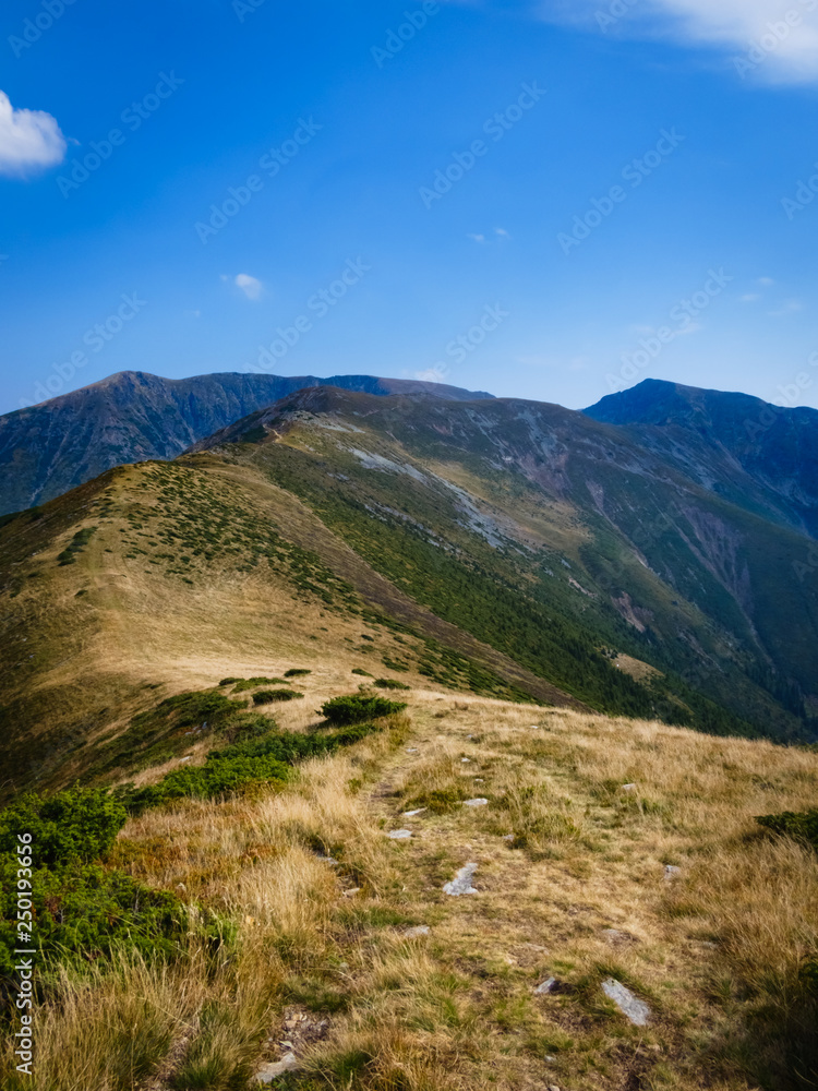 On top of the Mountains. Landscape in the European Carpathians.